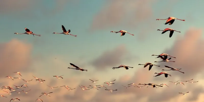 Hình ảnh mang đến con số may mắn trong lô đề