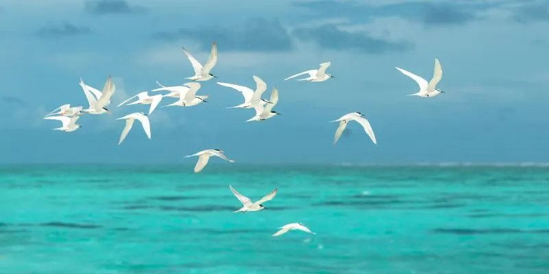 Màu đen ám chỉ sự thay đổi mạnh mẽ với nhiều điềm may trong lô đề